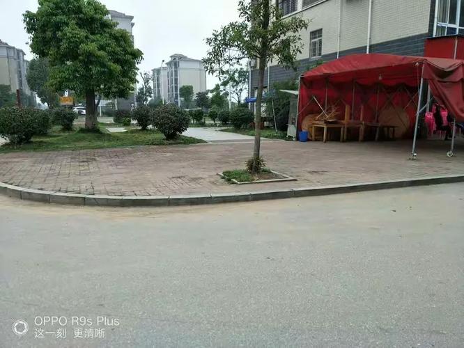 精诚物业菱泊湖小区物业管理服务处日常现场服务图片展示